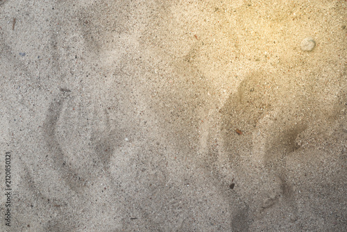 Top view of fine beach sand surface with warm sunlight flare, natural outdoor ground texture background..