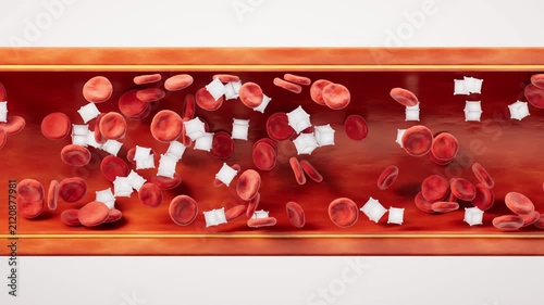 Blood vessel with biological and medical concept, 3d rendering.