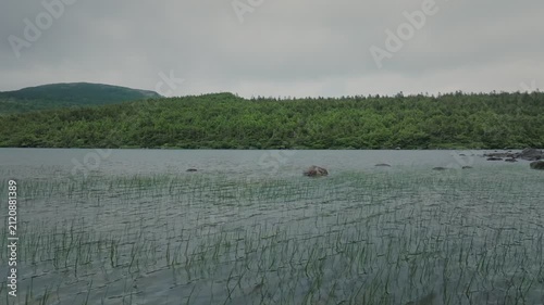 風に波立つ高原の池