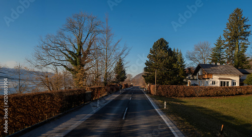A scenic asphalt road stretching through a peaceful European countryside with bare trees, trimmed hedges, and a charming house under a clear blue sky on a sunny day.