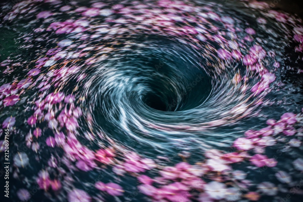 Obraz premium Flower petals swirling in a vortex of water with motion blur.
