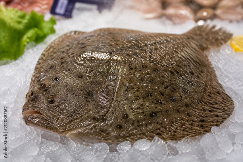 Fresh turbot fish with spotted skin displayed on crushed ice at a market.