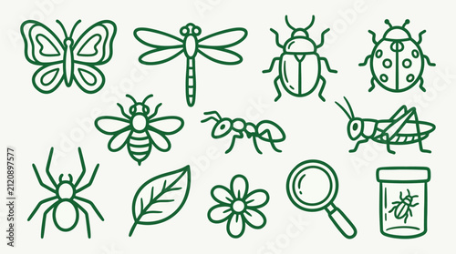 A collection of stylized green line art illustrations depicting various insects and nature elements on a light background.