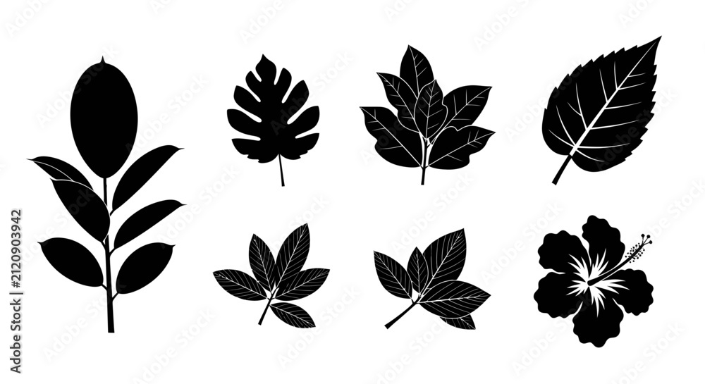 Obraz premium Hibiscus flower and diverse leaf shape silhouettes.