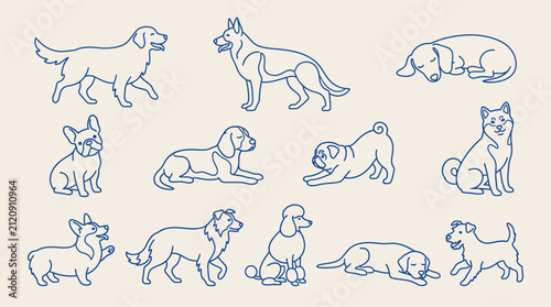 Collection of various dog breeds in different poses vector illustration with collection illustration sleeping domestic companion isolated background friendly