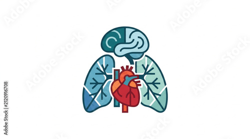 Colorful illustration of human brain heart and lungs.