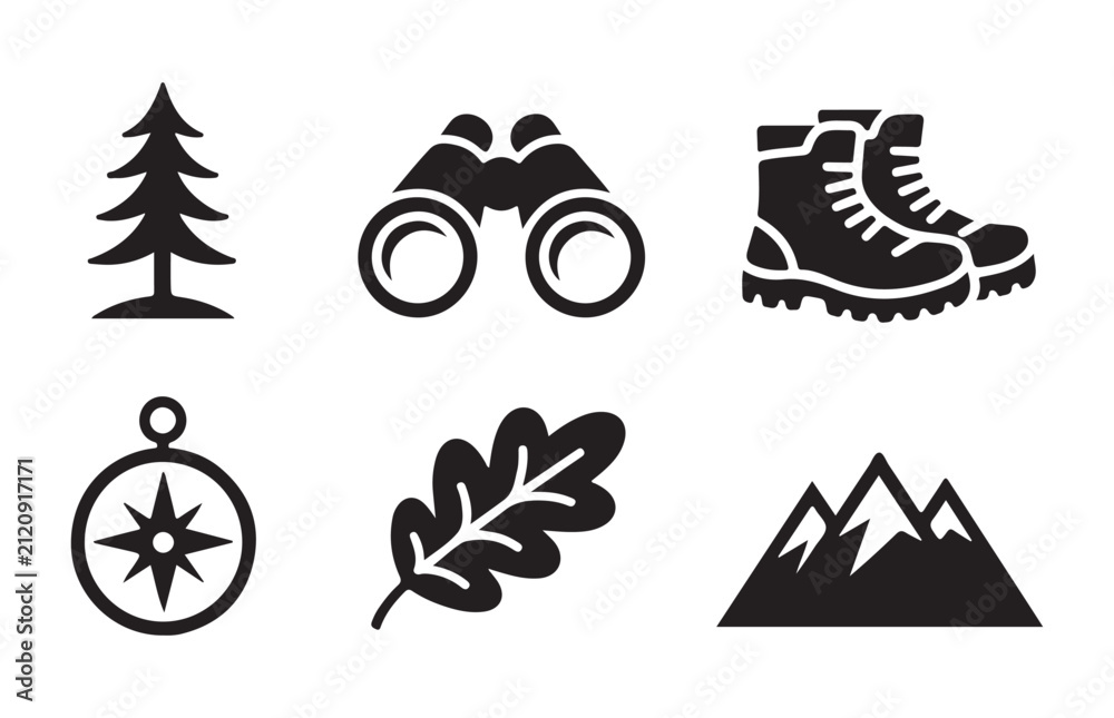 Fototapeta premium Set of six essential camping and nature icons for outdoor activities and travel design elements.