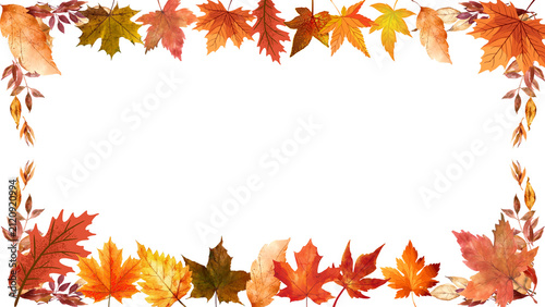 Colorful autumn leaves frame on transparent background with copy space