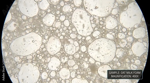 Microscopic texture of white oat milk foam bubbles.