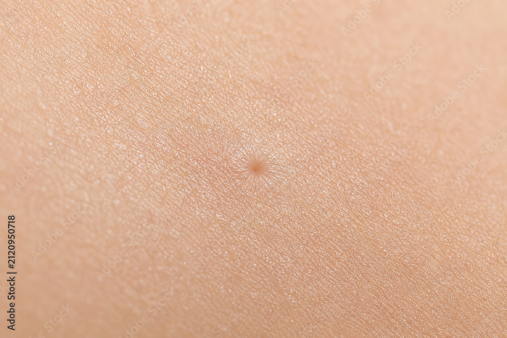 Fototapeta premium Refined Pore on Smooth Dewy Skin Macro