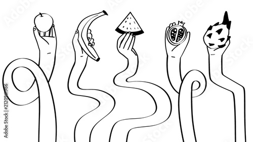 Obraz na plátně Vector illustration set of surreal surrealist elongated wavy hands holding fresh fruits including apple, banana, watermelon, pomegranate, and dragon fruit