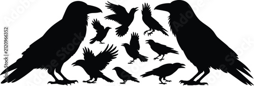 Foto A collection of black raven bird silhouettes arranged in various poses isolated