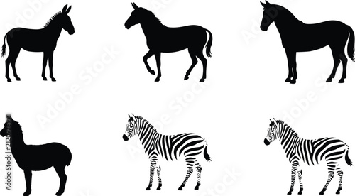 Photography Horse Donkey Zebra and Llama Silhouette Collection with Equine Animal Vector Set