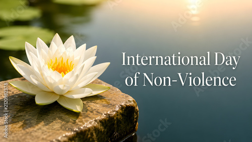 Beautiful white lotus flower resting on a stone by the water for International Day of Non-Violence.