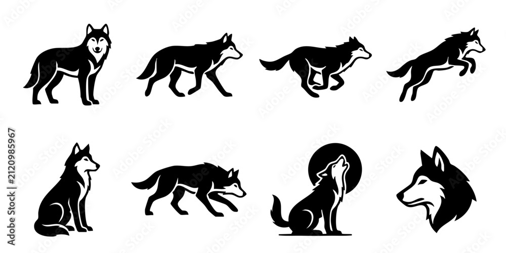 Fototapeta premium Black wolf silhouette icons set with wild predator in different poses standing walking running jumping howling at moon vector illustration