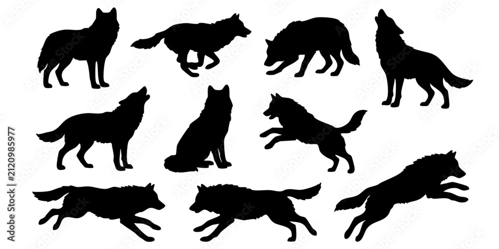 Obraz premium Black Silhouette Collection of Wild Wolves in Various Dynamic Action Poses and Natural Behaviors