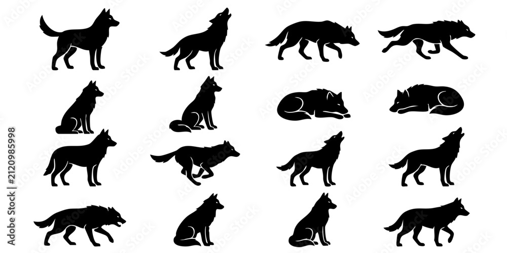 Fototapeta premium Wolf silhouettes collection in various active and resting poses like howling, running, and sitting. Black animal icons on a white background