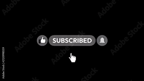 Digital interface showing a successfully subscribed button with a thumbs-up like icon and an activated notification bell, indicating content engagement on a streaming platform 4K