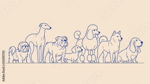 фотографія A line-drawn lineup of diverse dog breeds shown in a blue minimalist illustration