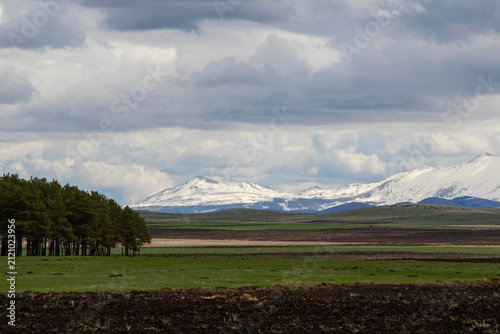 Scenic Grasslands and Snow-Capped Mountains in Javakheti, Georgia