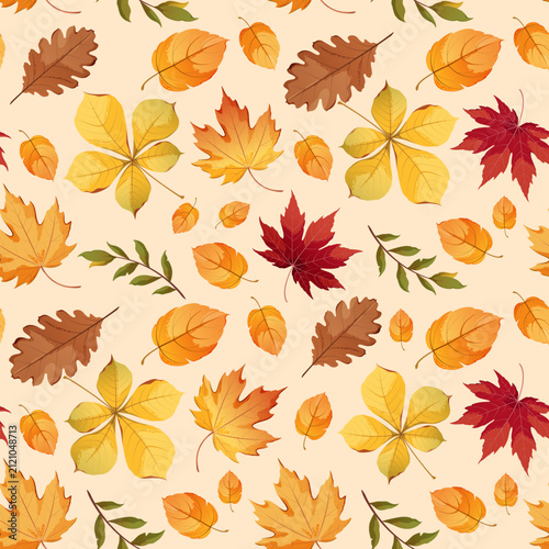 Seamless pattern with different autumn leaves. Vector illustration.

