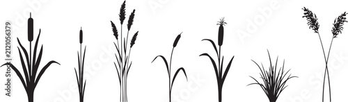 Принти на полотні Black cattails and reeds silhouette collection grass plant
