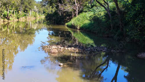 Serene River Flowing Through Lush Green Forest in Uki New South Wales