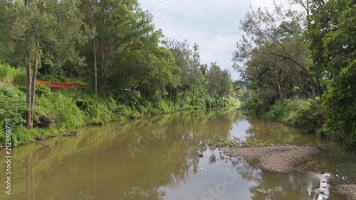 Serene Tweed River Flowing Through Lush Greenery in Uki