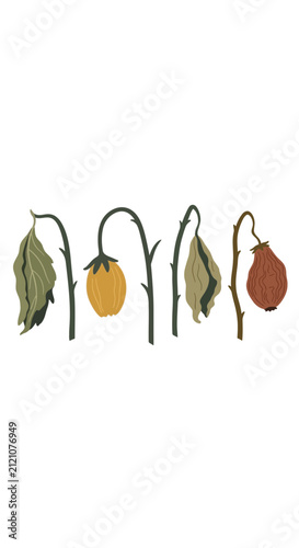 Wilting plants and fruits, symbolizing decay, decline, and the end of life.