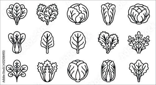 Принти на полотні Collection Of Leafy Vegetable Line Icons On White Background Various Cabbage Typ