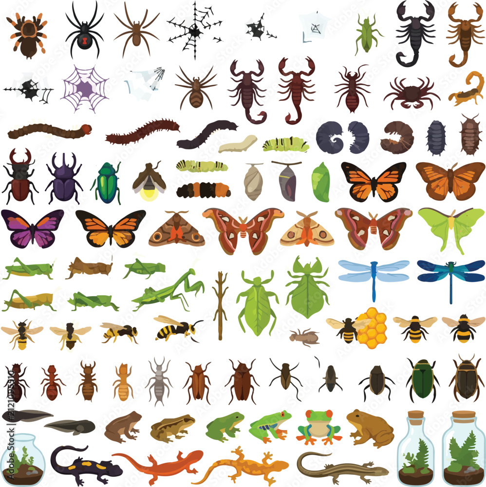 Obraz premium Insects and amphibians display a diverse array of wild creatures, including spiders, beetles, butterflies, and small reptiles, captured in a flat graphic style.