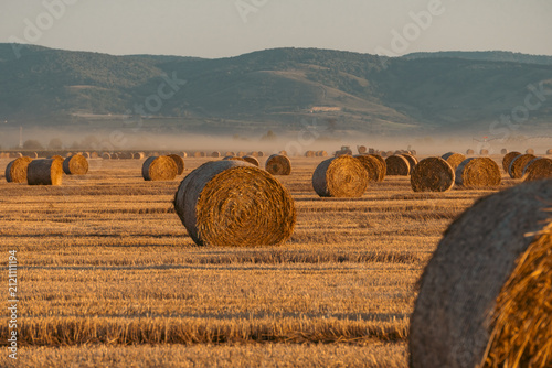 Foto Scenic Agricultural Landscape with Straw Bales in Summer
