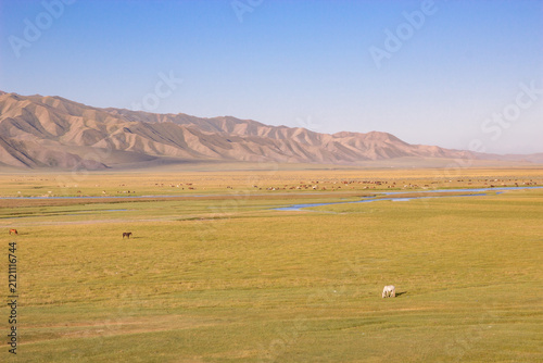 Foto Herding Horses on Alpine Grasslands of Xinjiang