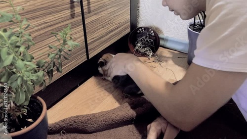 Caring Teenager Gently Petting a Cute Fluffy Guinea Pig on the Floor at Home