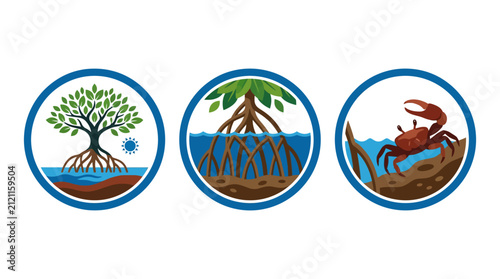 Coastal mangrove ecosystem and crab icons.