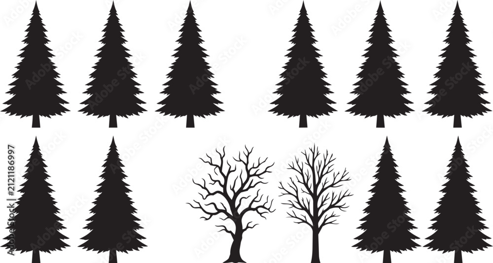 Obraz premium Collection of pine trees with bare deciduous trees in winter silhouette against white background