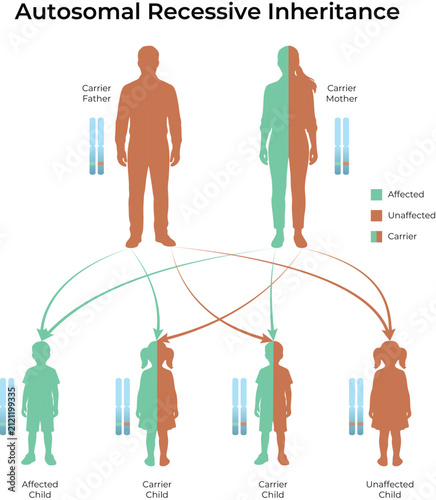 Foto Autosomal Recessive Inheritance Pattern Diagram