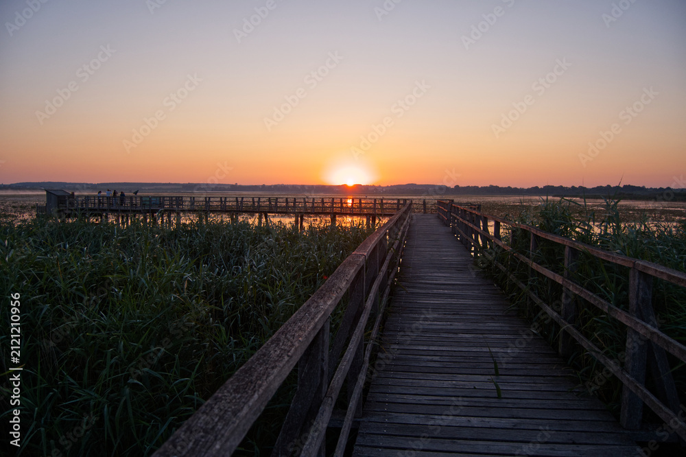 Fototapeta premium Golden Sunrise over Federsee Wetlands in Southern Germany