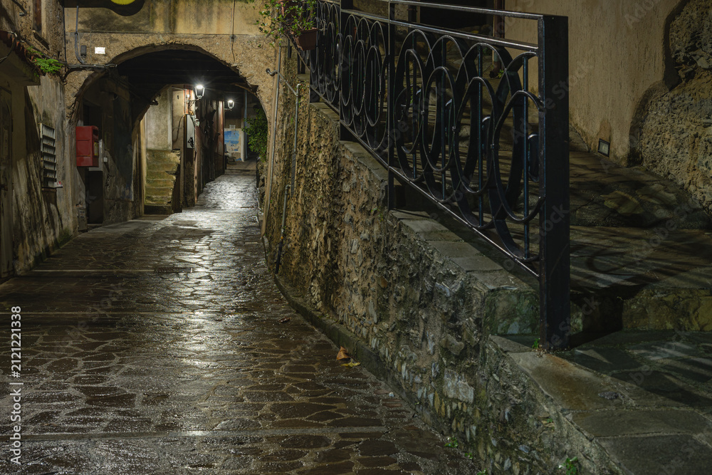 Fototapeta premium night view of the village of Maierà, Cosenza, Italy