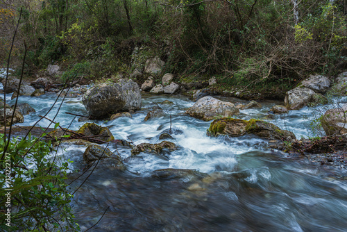 argentino torrent floowing along the trail which goes from the municipality of Orsomarso to the Castel San Noceto pass