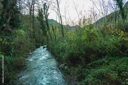 argentino torrent floowing along the trail which goes from the municipality of Orsomarso to the Castel San Noceto pass