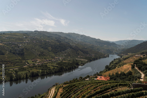 Panoramablick über das Douro-Tal mit grünen Hängen und ländlicher Landschaft in Portugal