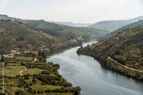 Panoramablick über das Douro-Tal mit grünen Hängen und ländlicher Landschaft in Portugal