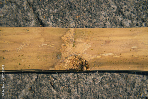 Картината върху платно Top view close up of a dried split bamboo stem showing natural inner pith fiber