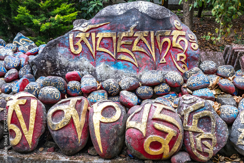Canvastavla Chokling Monastery, Bir, Himachal Pradesh, India