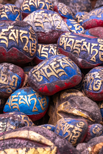 Fotografía Chokling Monastery, Bir, Himachal Pradesh, India