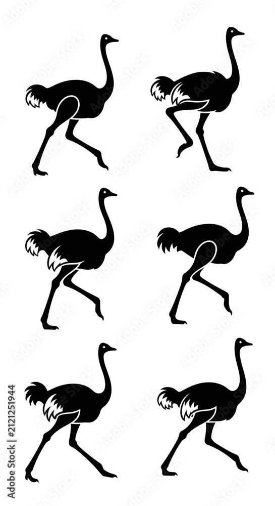 Obraz premium Ostrich bird silhouettes in motion.