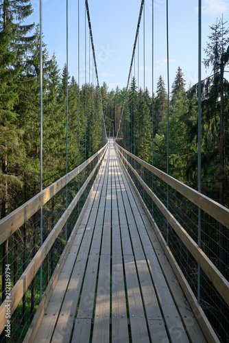 Wooden Suspension Bridge in Forest