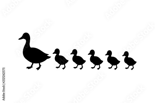 Mother Duck Leading Ducklings in a Line Silhouette Waterfowl Family Parent and Baby Birds  Illustration