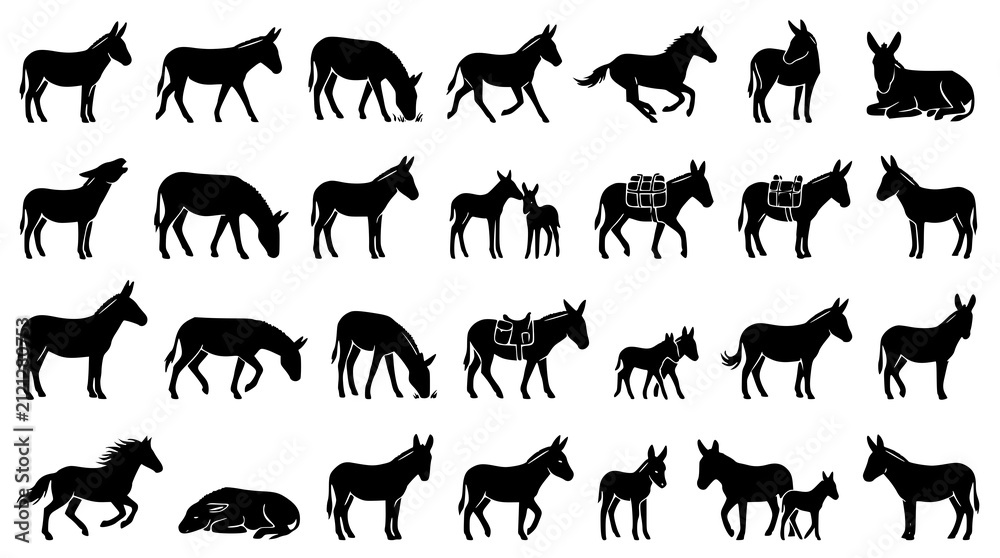 Fototapeta premium : Farm Donkey Silhouette Icon Collection with 28 Animal Pose Vectors